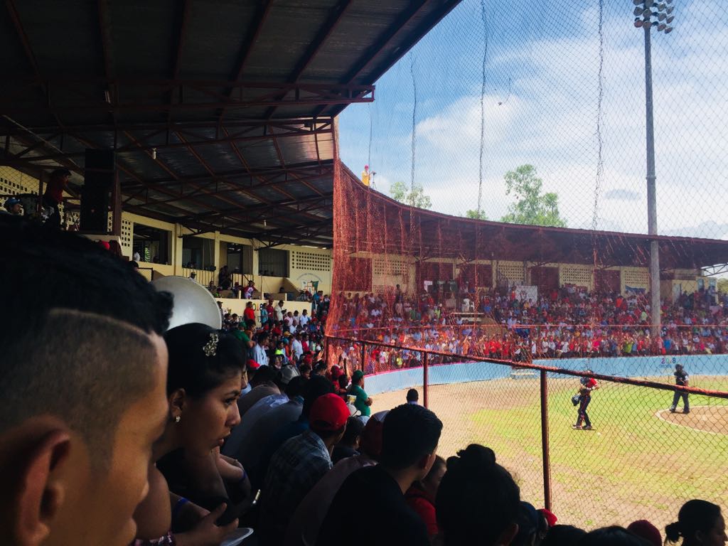 Toros1